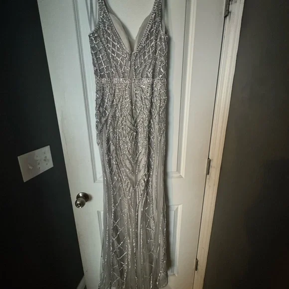 Elegant Silver Beaded Prom/pageant Dress - Picture 3 of 8